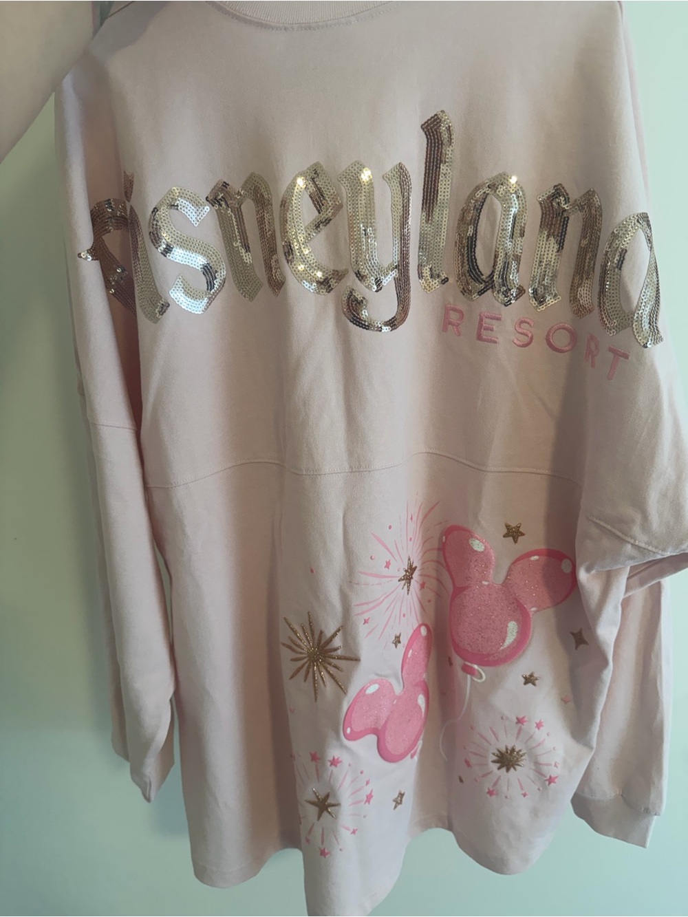 Disneyland jersey